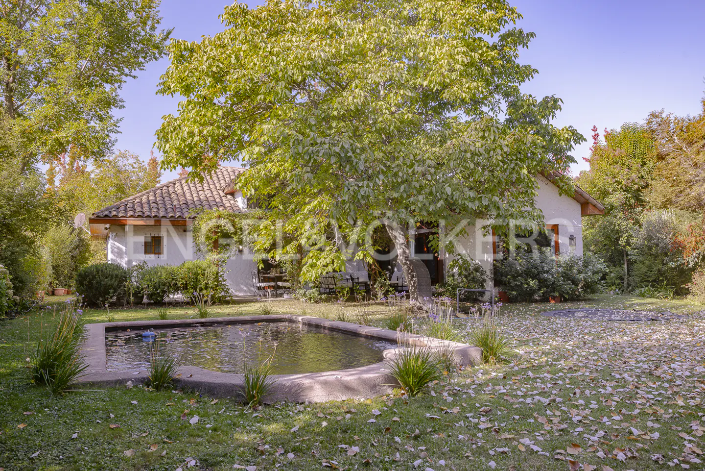 Exterior view of a white house with a red tile roof, a pond, and a large tree in the front yard.