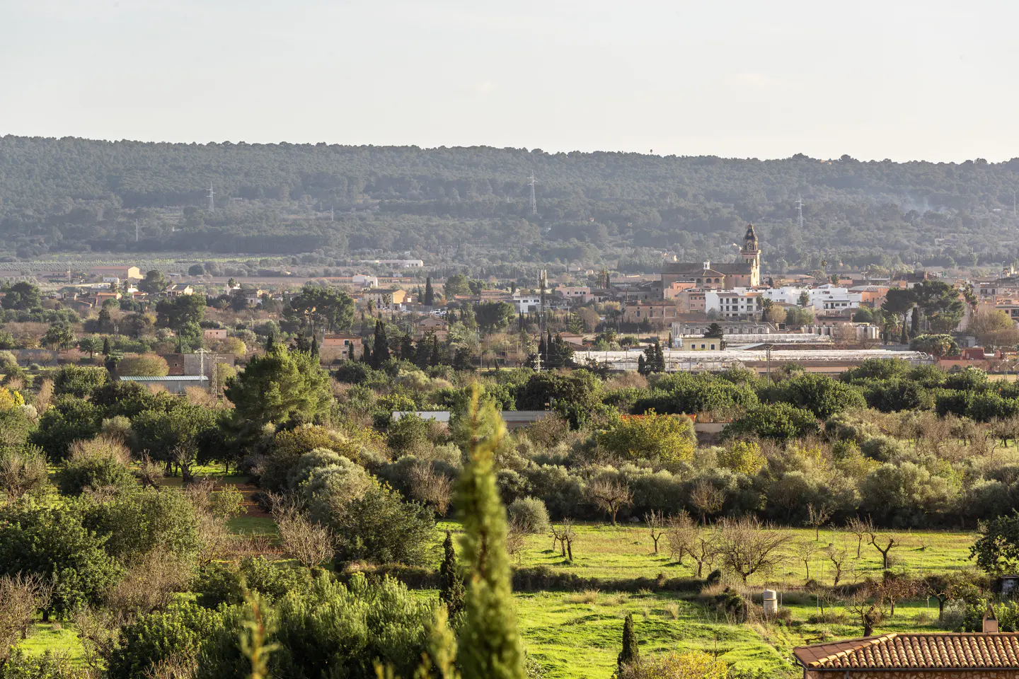 Scenic view of a town nestled among green trees, featuring a church with a tall steeple in the background.