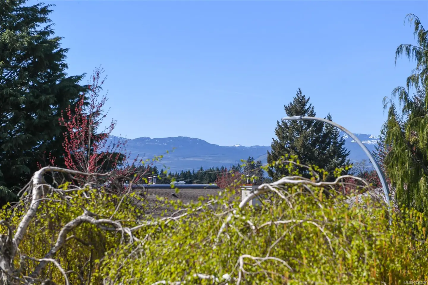 View of distant mountains with snow caps, seen over green trees and a house roof under a clear blue sky.