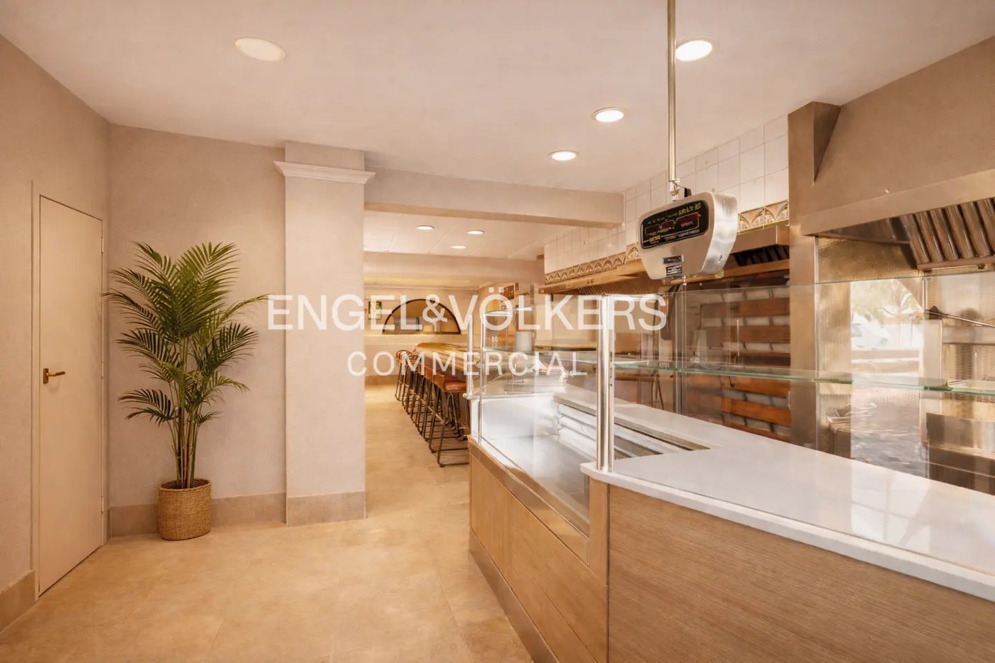 Commercial space with a counter, stainless steel oven, and bar stools in the background. A potted palm sits near a white door.