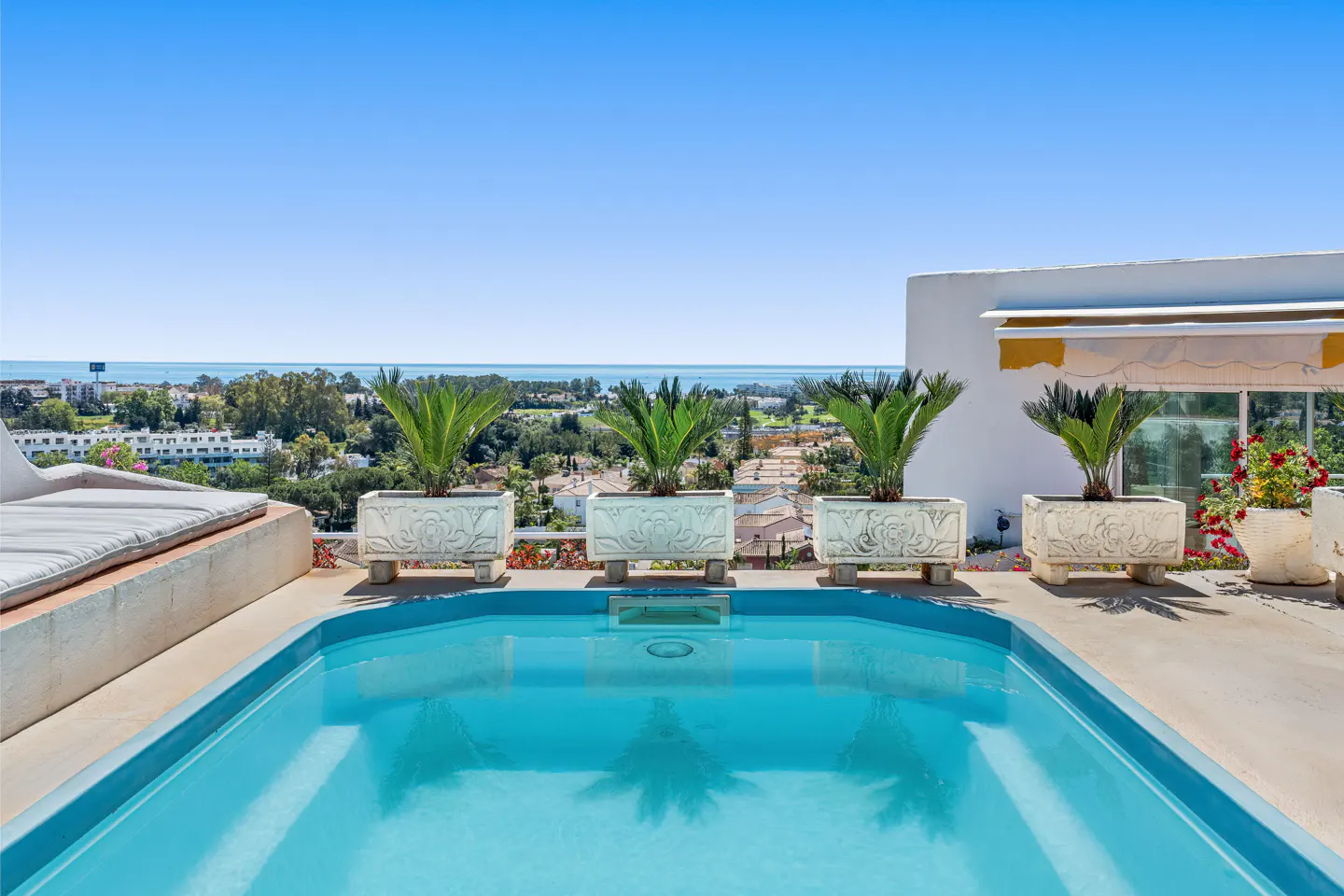 Rooftop pool with turquoise water, potted palms, and a city view under a clear blue sky.