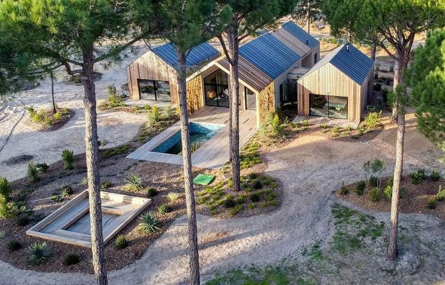 Aerial view of a modern wood home with a blue metal roof, surrounded by tall pine trees and a small pool.
