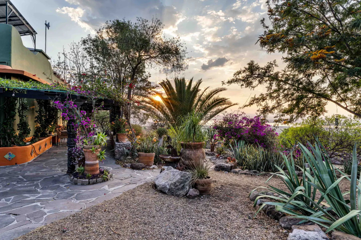 A lush garden with stone paths, potted plants, and a palm tree at sunset. Purple bougainvillea climbs a pergola near a green building.