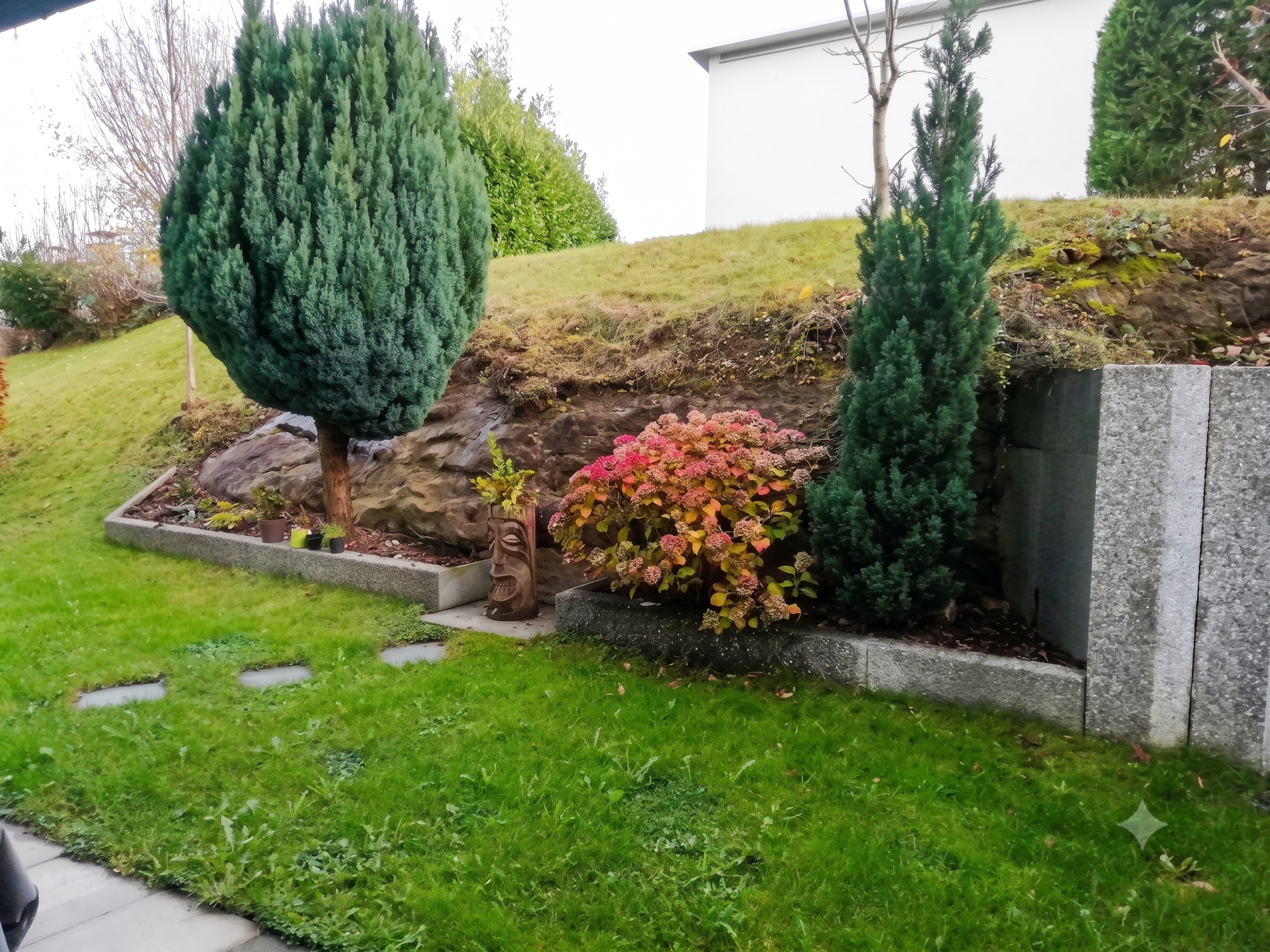 A landscaped garden with a grassy lawn, stone retaining wall, evergreen trees, a colorful hydrangea, and a tiki statue. [AI-generated text]
