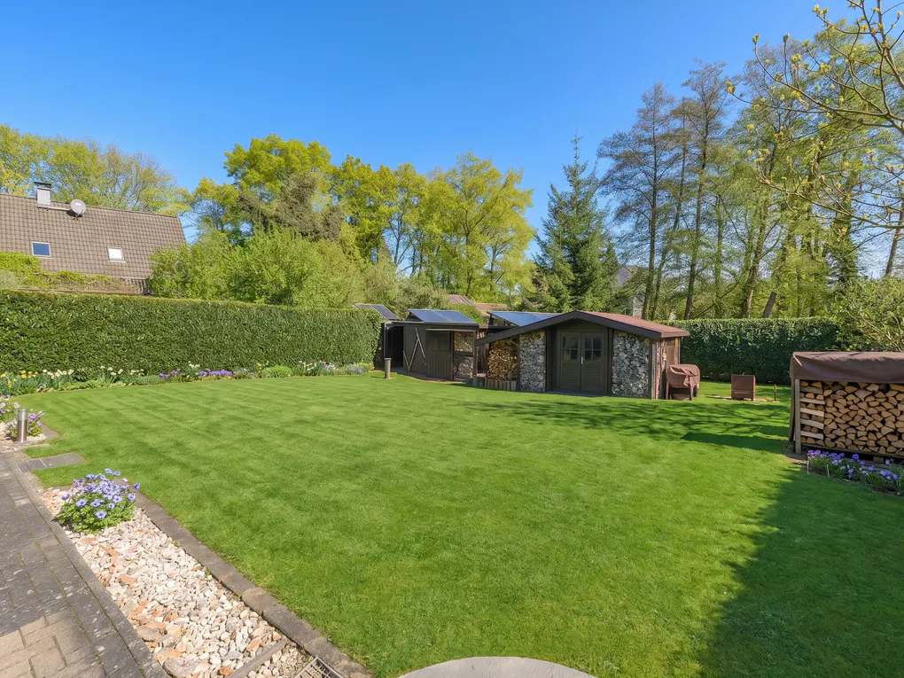A lush green lawn with sheds, firewood, and a tall hedge under a clear blue sky.