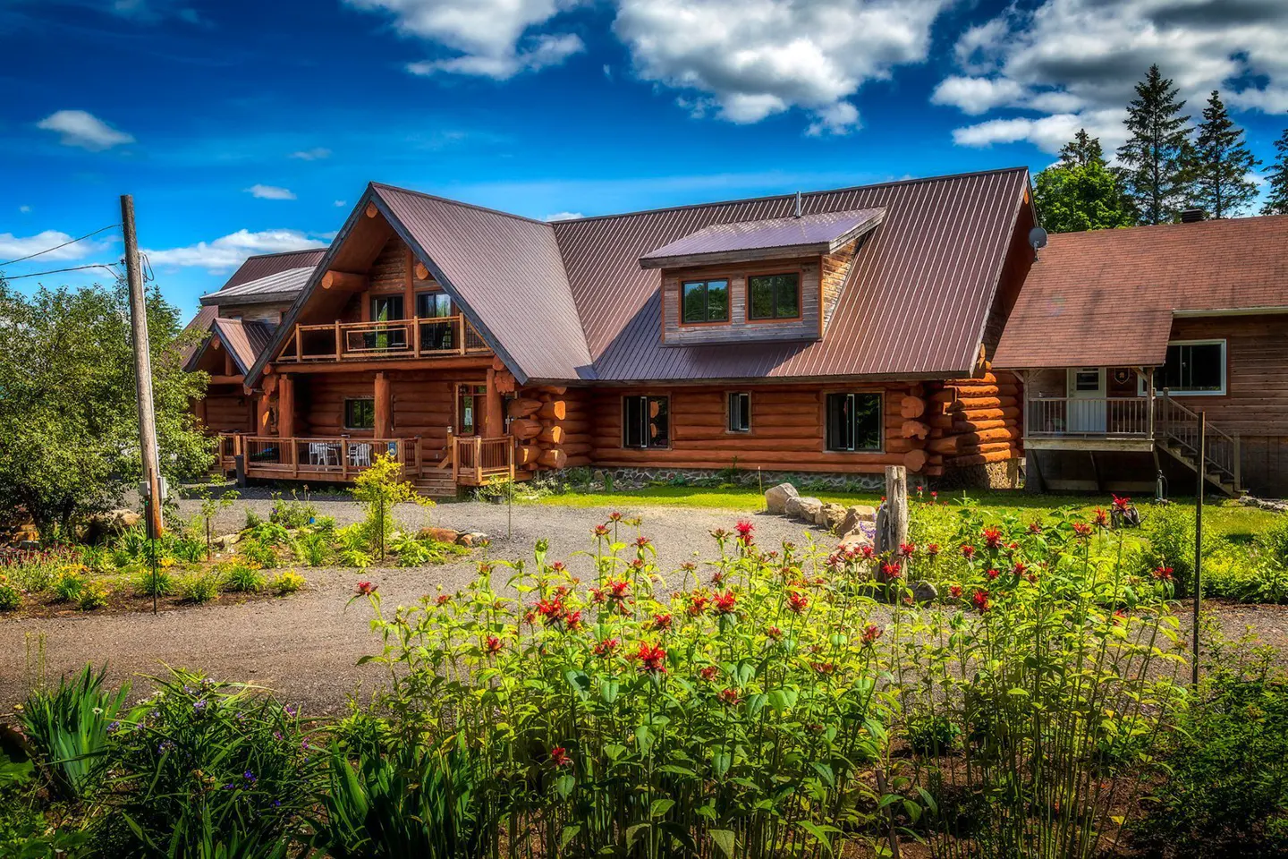 A large log cabin with a brown metal roof sits behind a garden of red flowers.