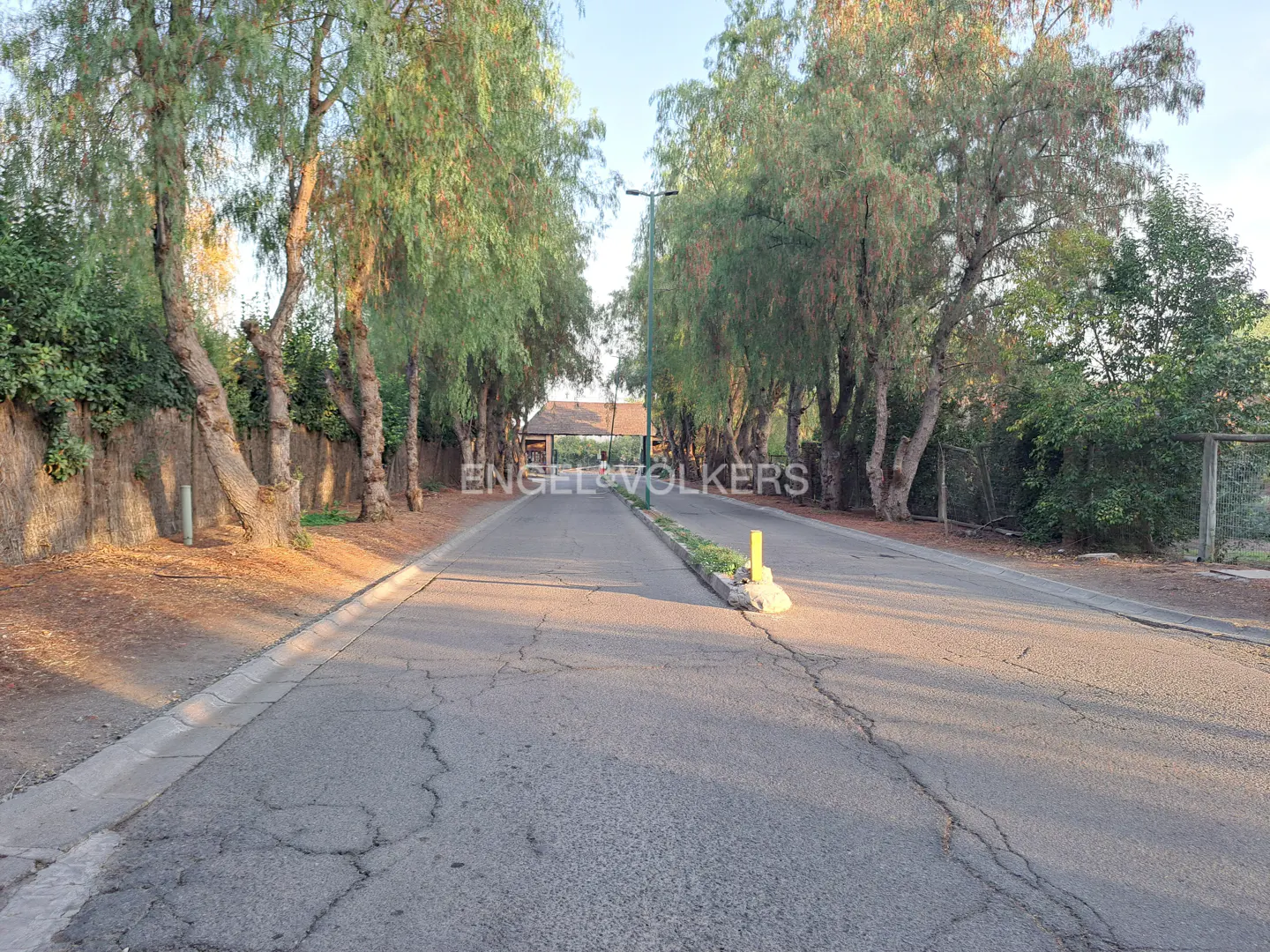 A tree-lined asphalt road leads to a gated community entrance. The trees are tall and green.