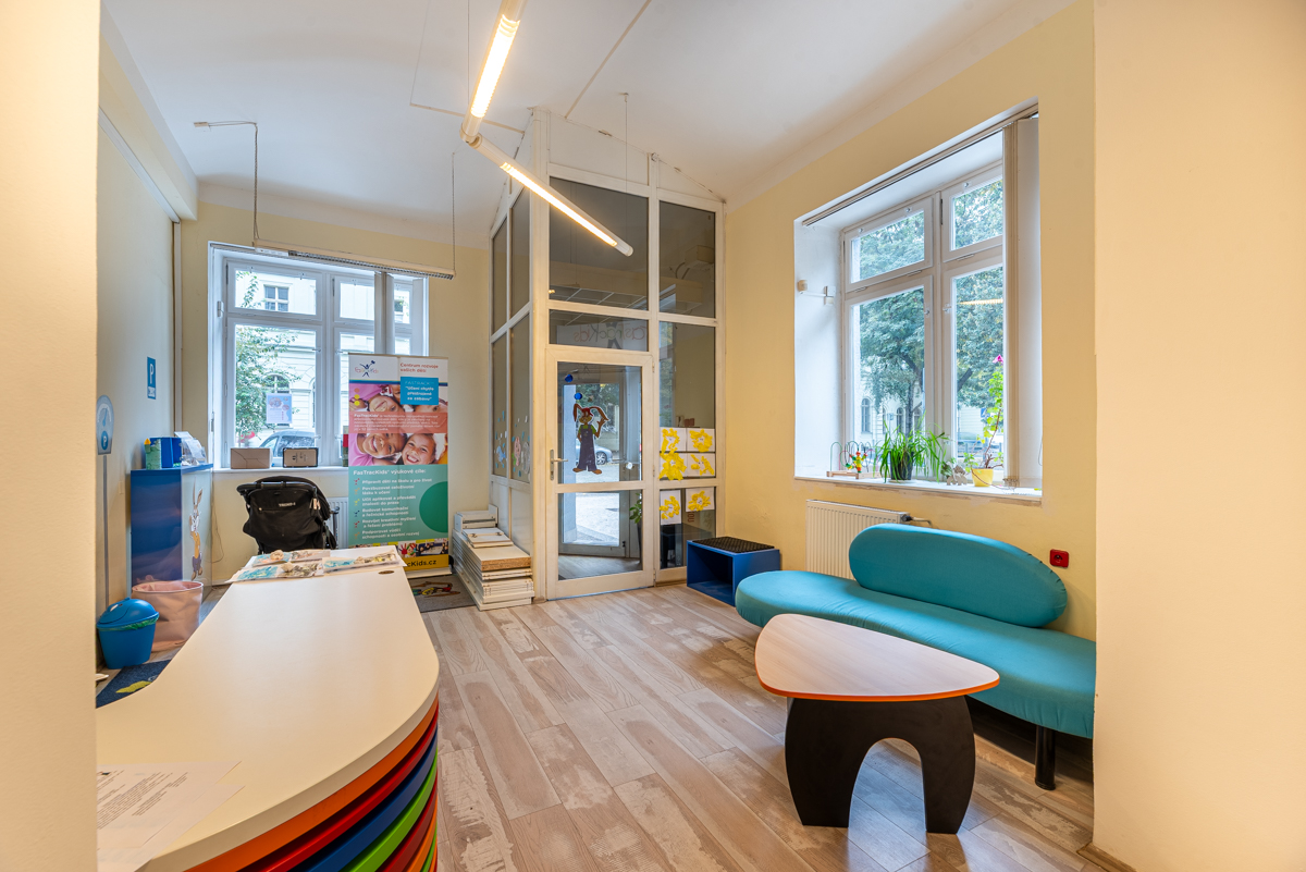 Lease of commercial space intended for nurseries in Dejvice