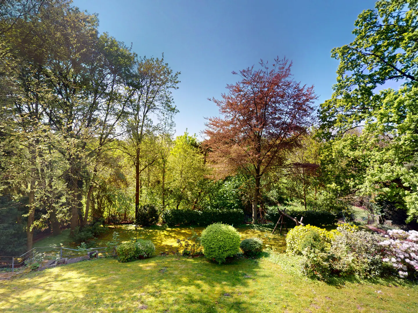 Lush green backyard with trees, bushes, and a clear blue sky above. A red-leaved tree stands out among the greenery.