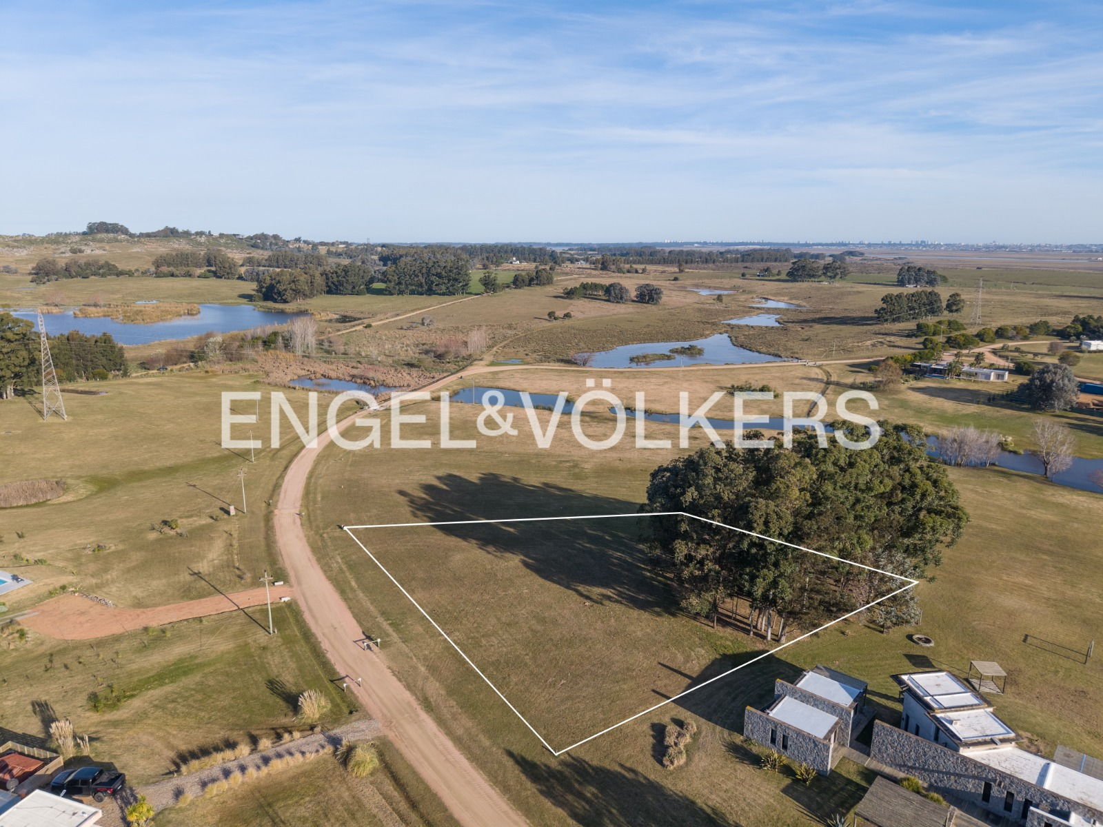 Wooded plot in El Quijote