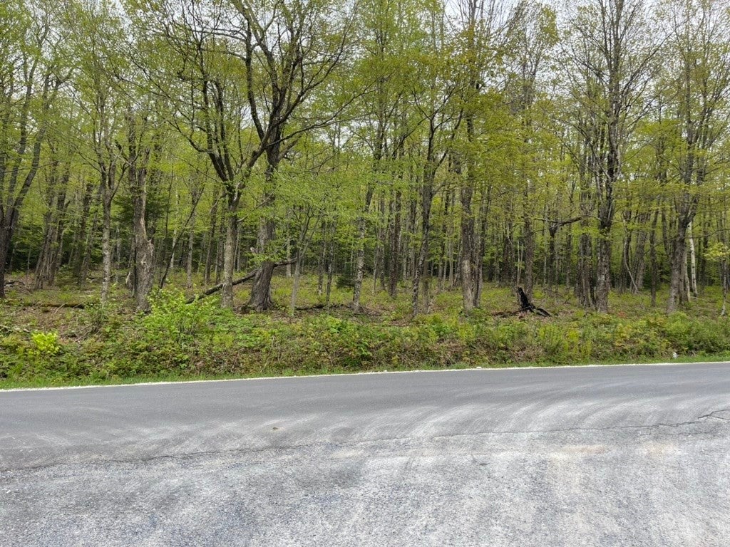 300 feet of road frontage with survey, perc / septic design!