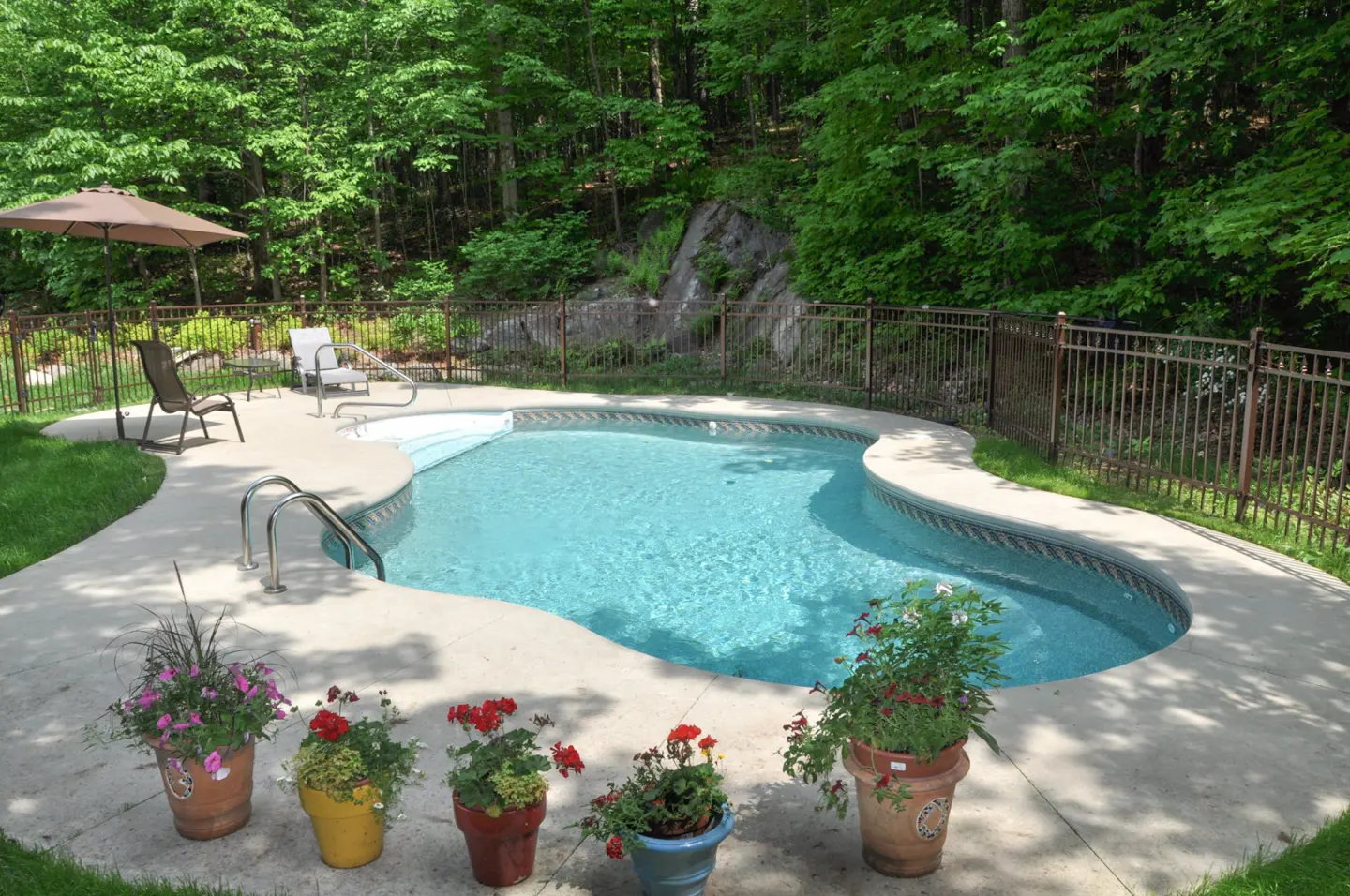 Backyard pool with blue water, surrounded by a concrete patio, potted flowers, and a brown metal fence. Green trees in the background.