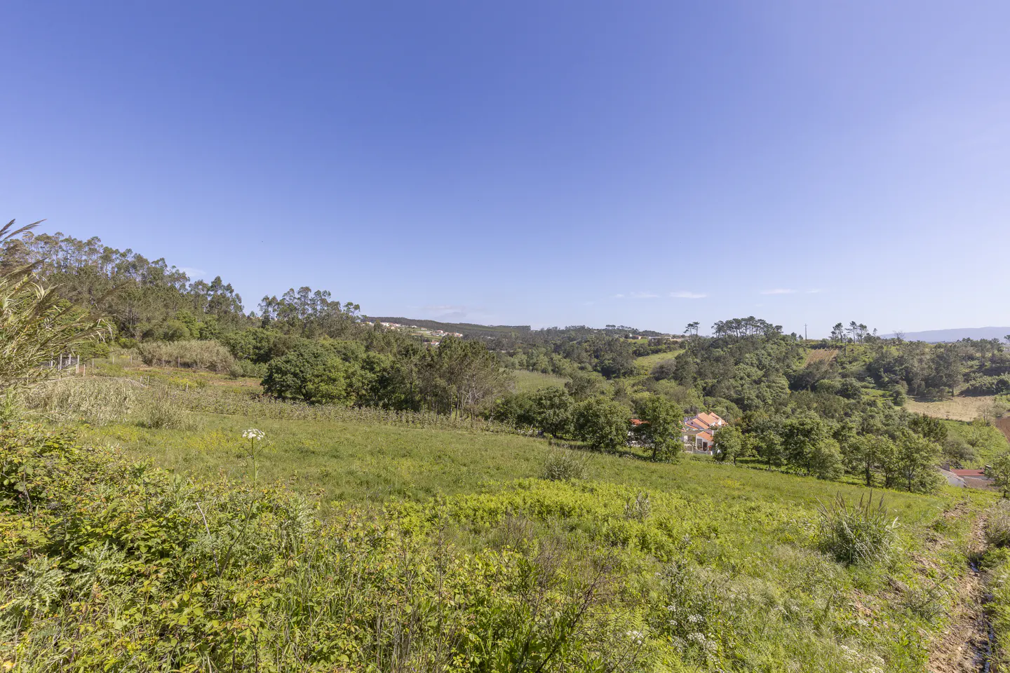 Scenic view of a green field with trees and a house under a clear blue sky.