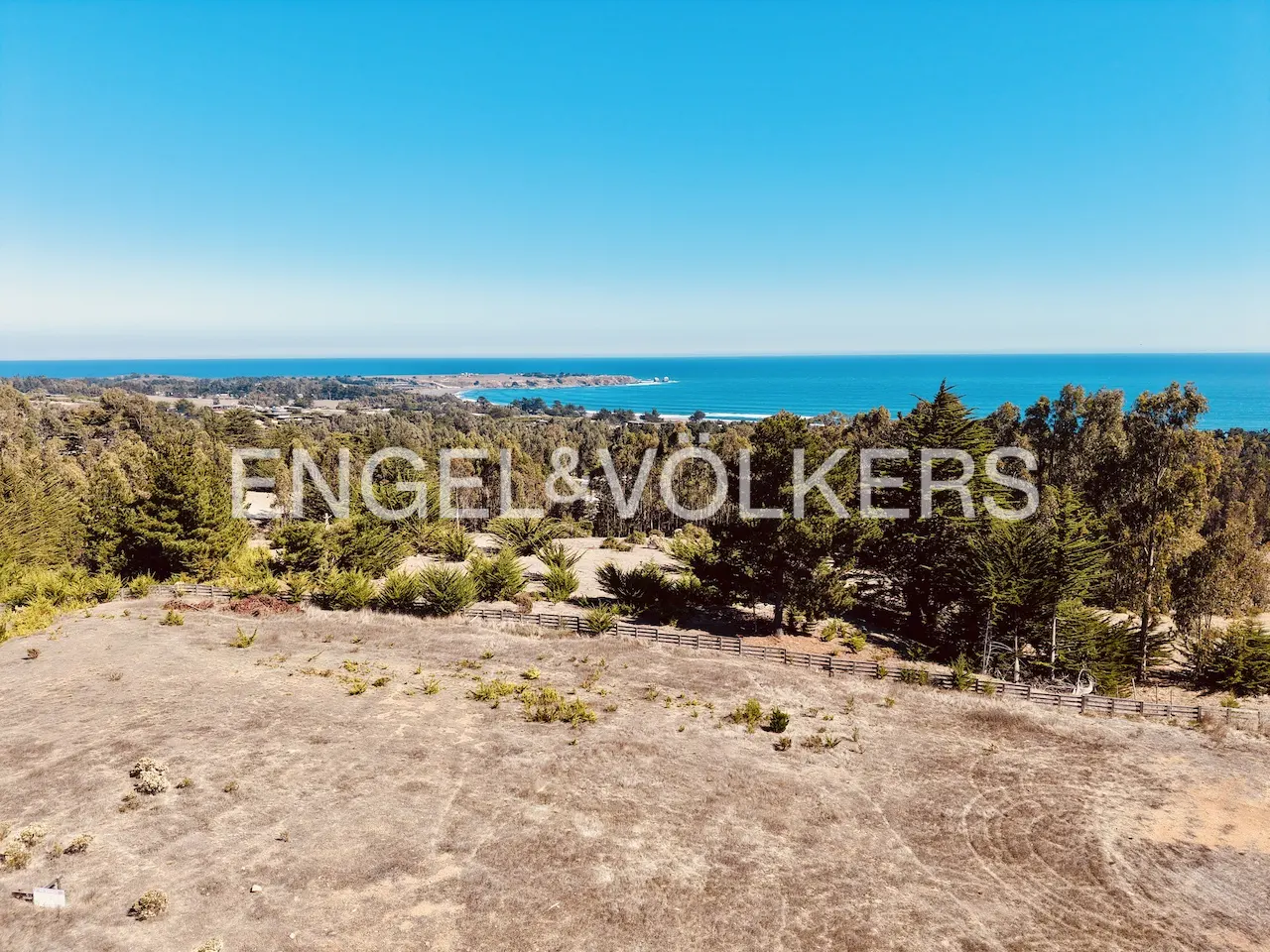 Scenic view of a brown field with trees, a wooden fence, and the ocean under a clear blue sky.