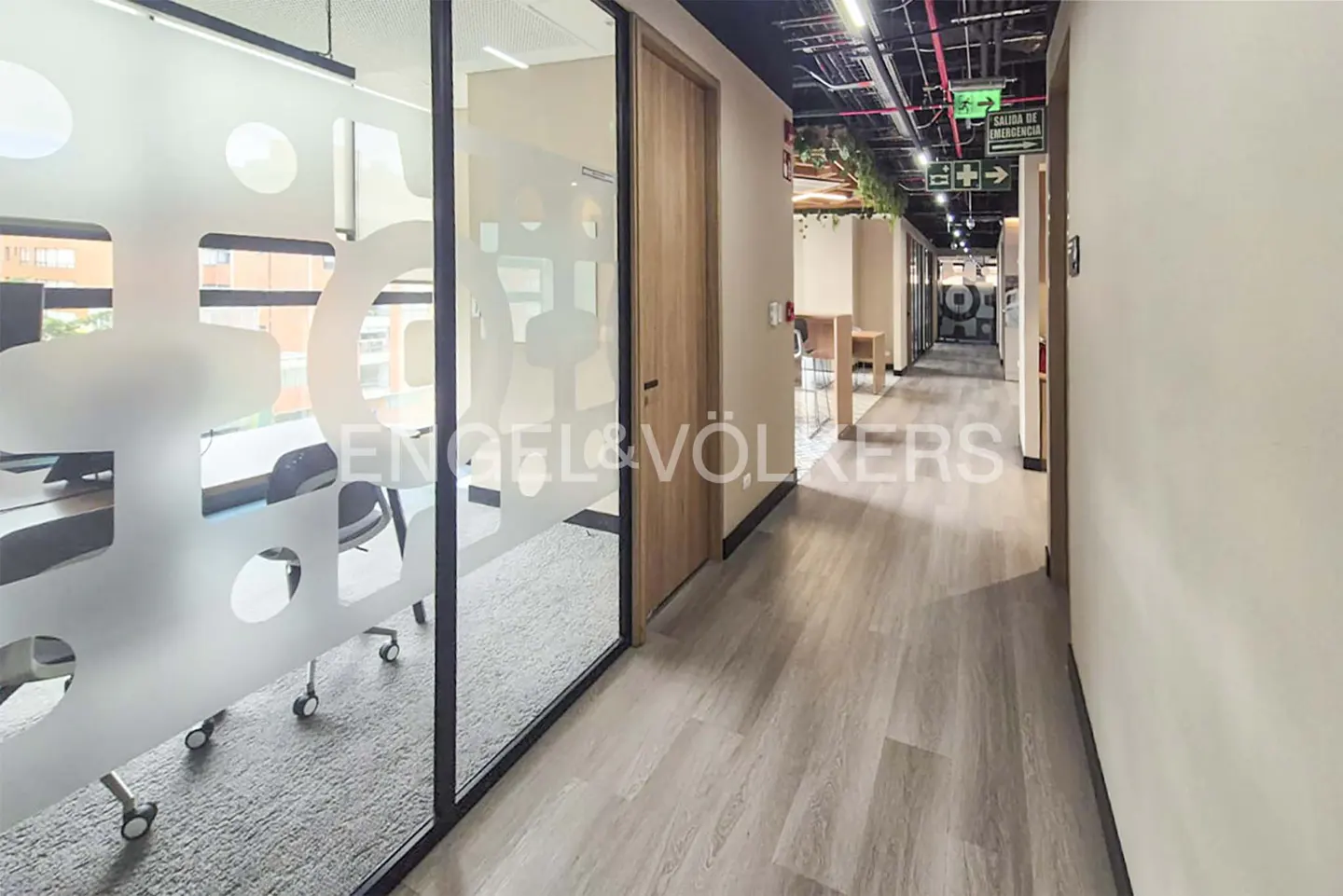 Office hallway with wood-look floors, glass-walled rooms, and an exit sign.