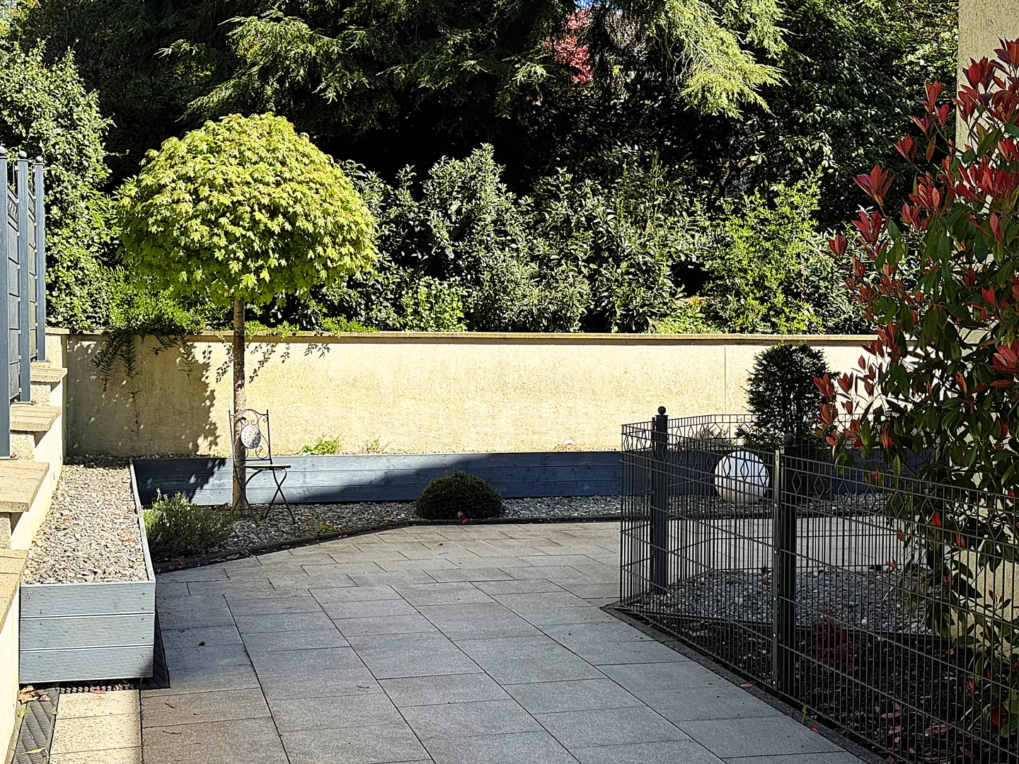 A sunny patio with gray pavers, a round green tree, and a metal fence. Bushes and a tan wall form the background.