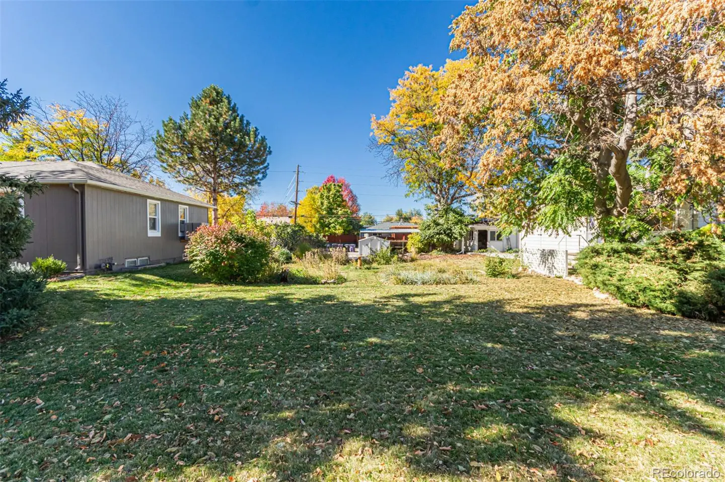 A wide shot of a large, green backyard with trees, bushes, and a gray house under a clear blue sky.