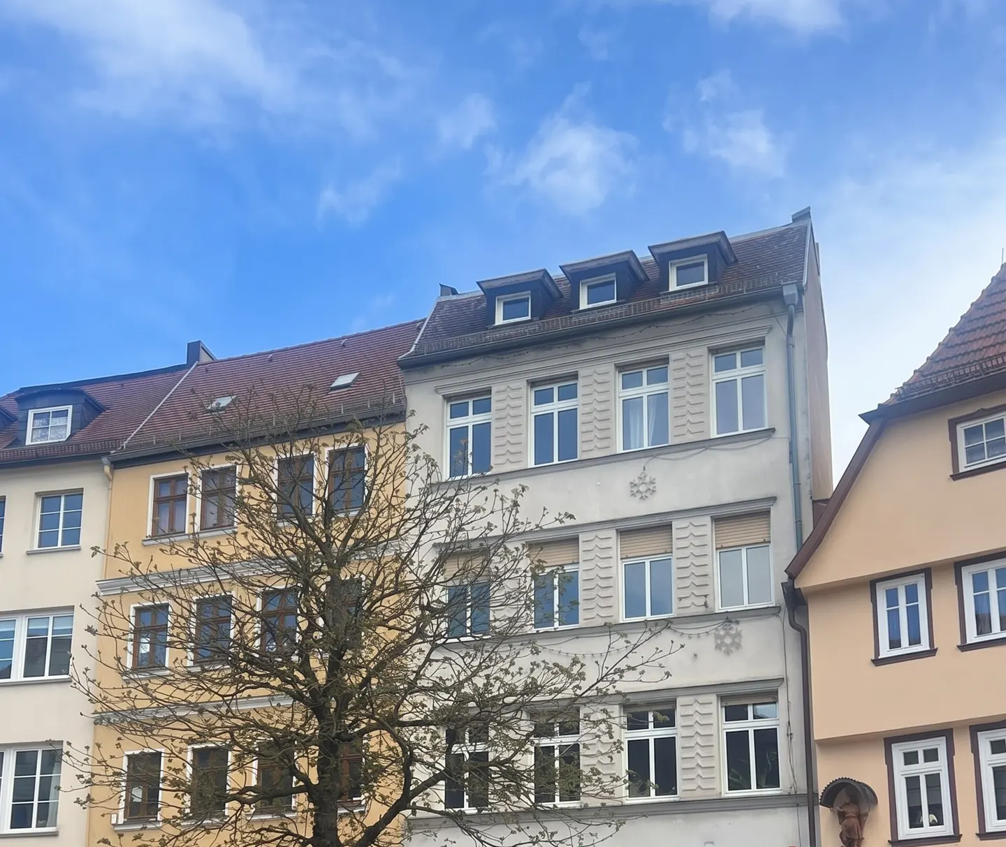 Three buildings with red and gray roofs under a blue sky. A bare tree is in front of the buildings.