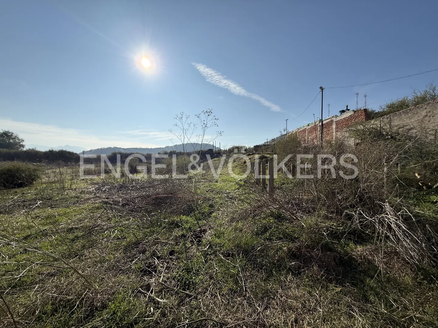 Vacant land with green grass and dry brush under a blue sky with the sun shining. A brick and concrete wall is in the background.