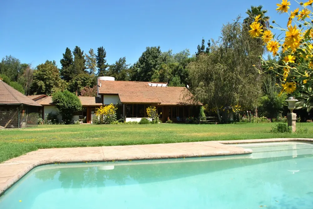 A single-story house with a brown roof and white walls, surrounded by green grass, trees, and a turquoise swimming pool.