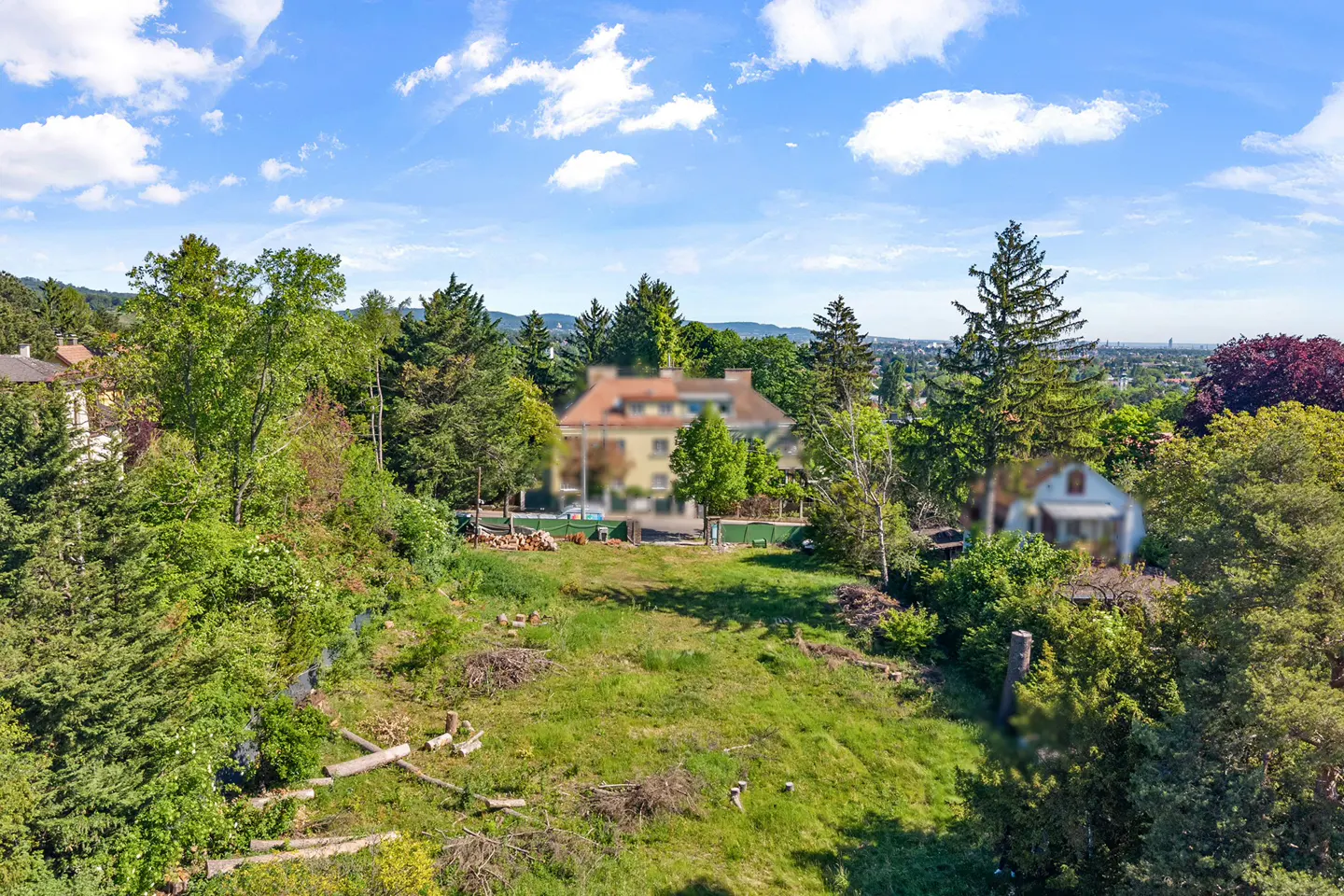 View of a grassy lot with cut logs, surrounded by trees, with a blurred house in the background under a blue sky with white clouds.