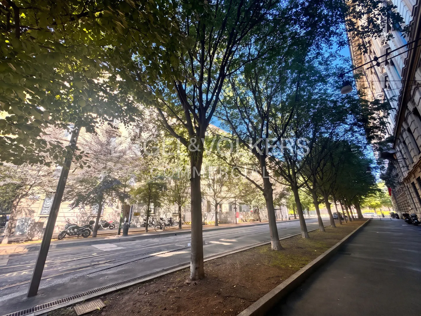 A tree-lined city street with a sidewalk, tram tracks, and historic buildings under a bright blue sky.