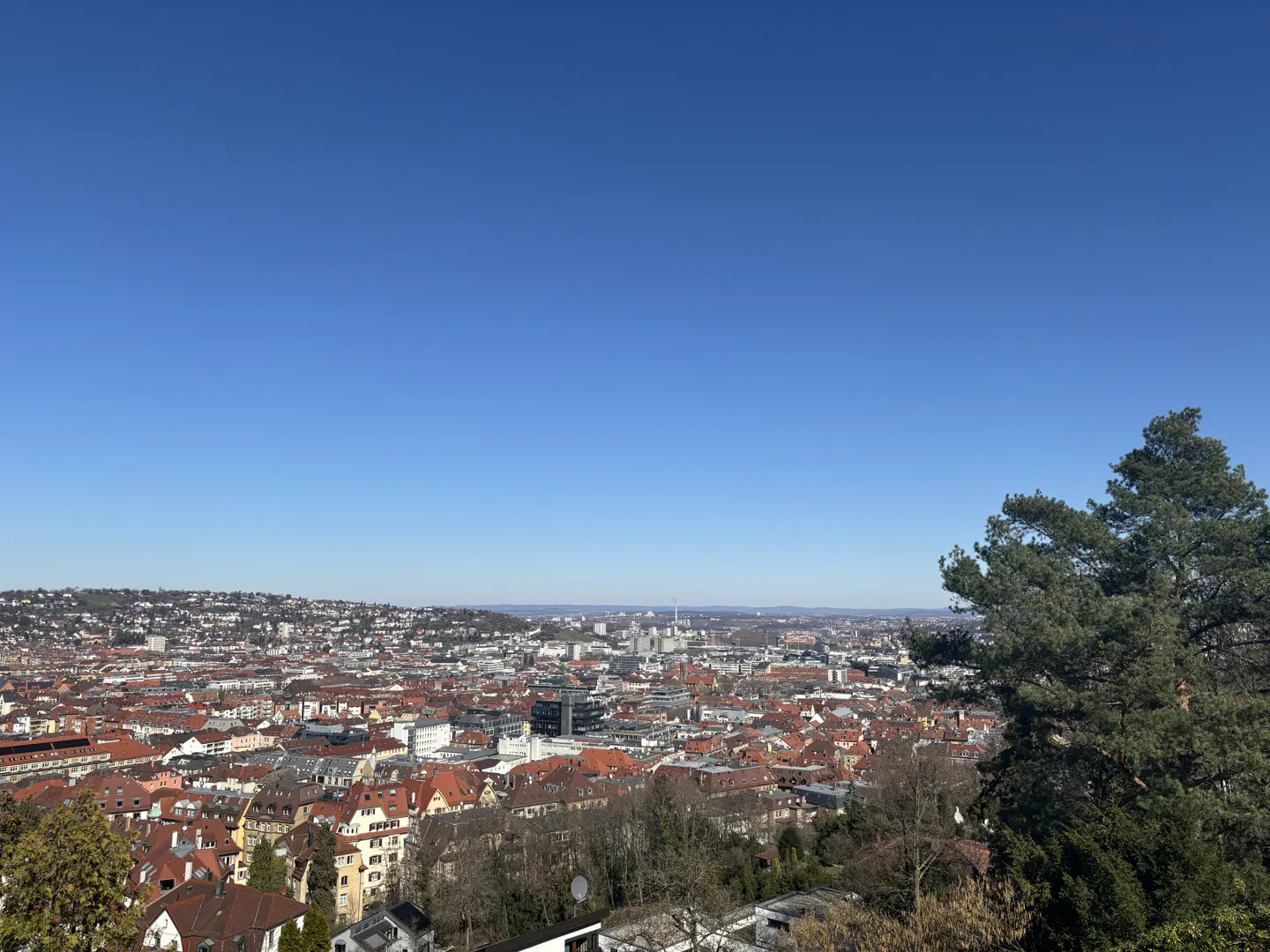 Panoramic view of a city with red-tiled roofs under a clear blue sky, framed by trees in the foreground.