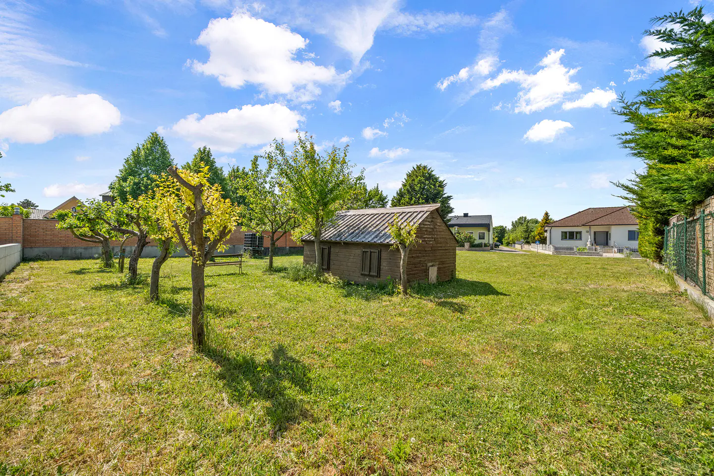 A backyard with a small wooden shed, trees, and green grass under a blue sky with white clouds.