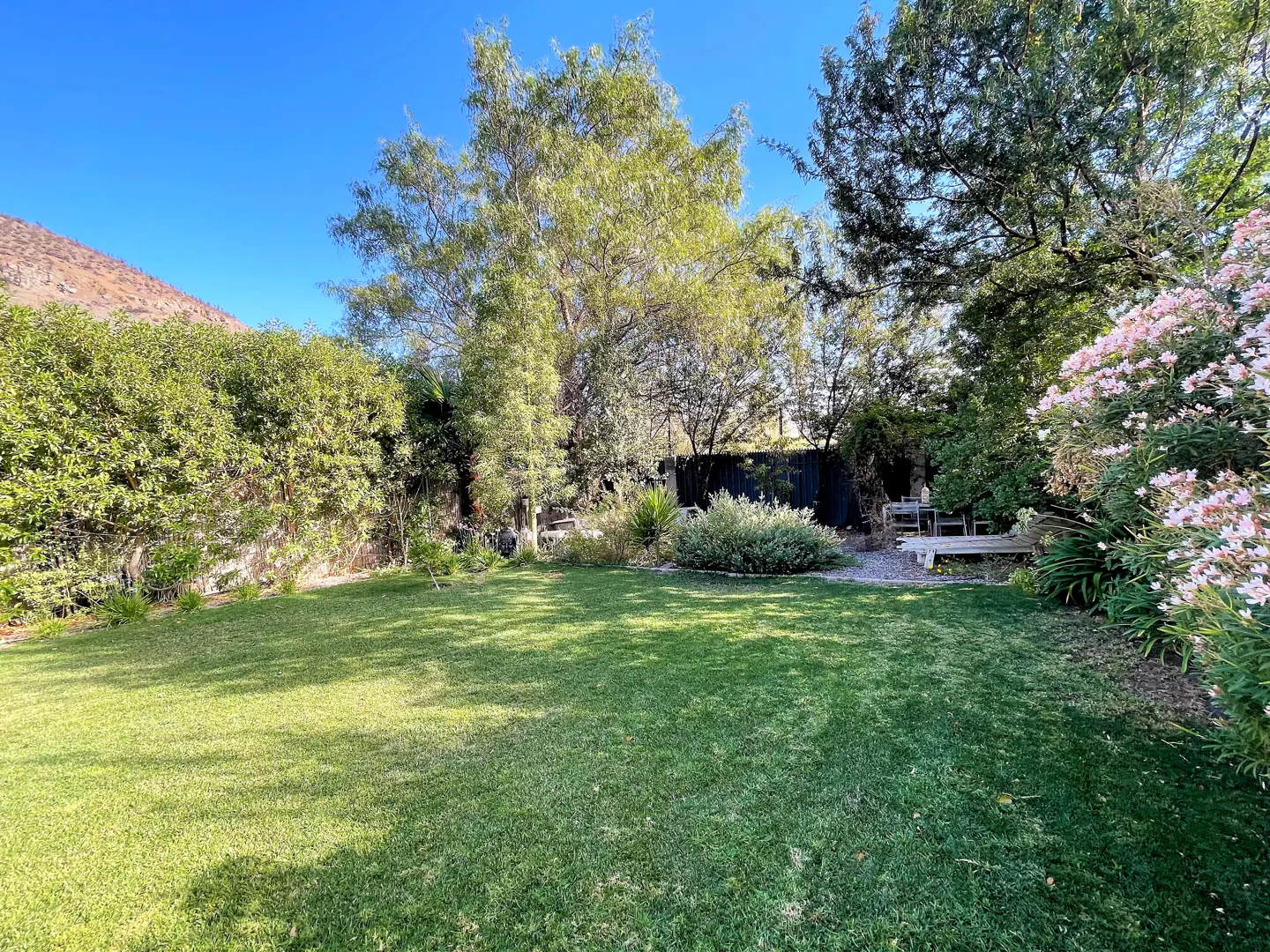 A lush green lawn in a backyard with mature trees, flowering bushes, and a mountain view under a clear blue sky.