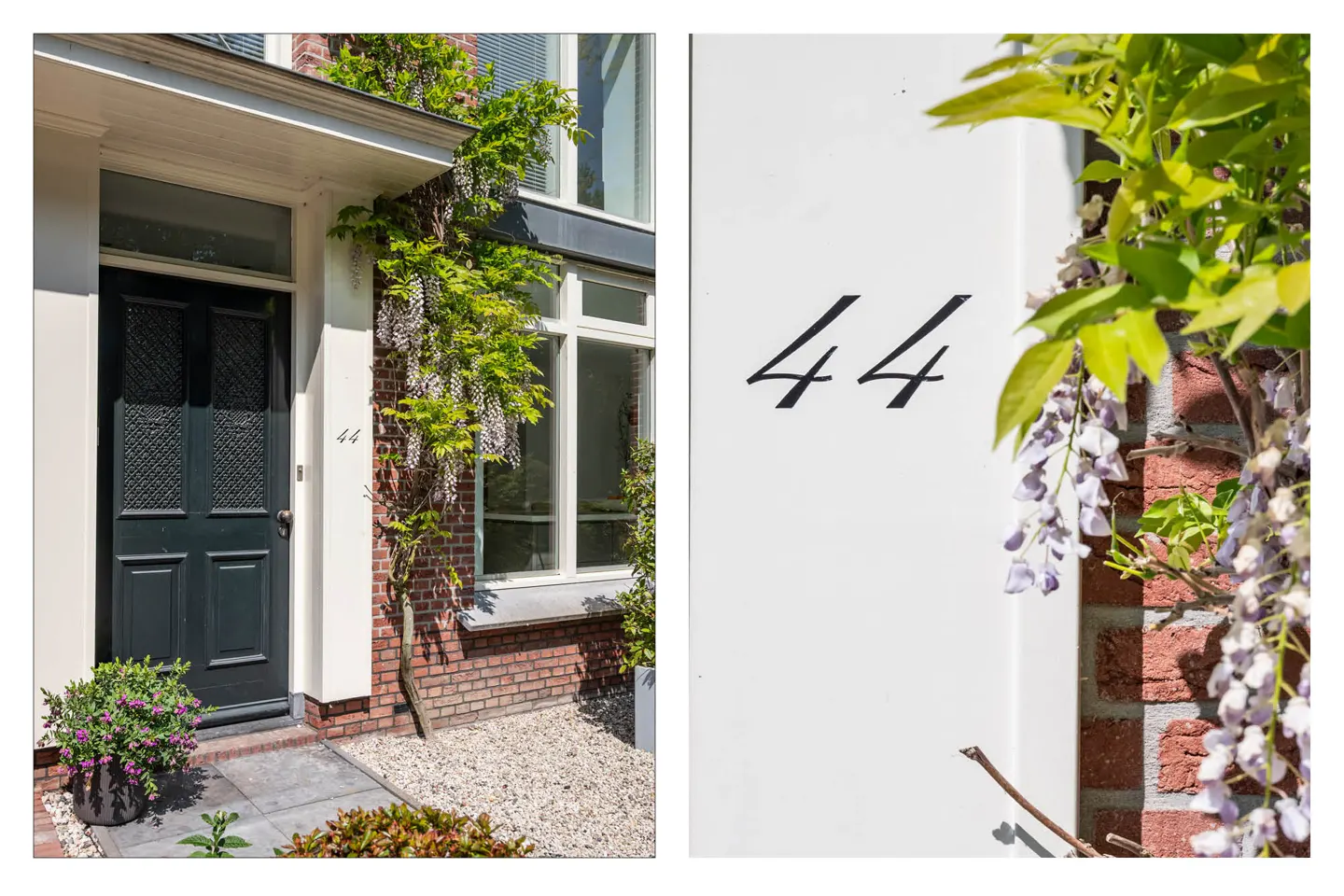 Exterior of a house with a dark green door, brick wall, and wisteria. The house number "44" is visible on the white door frame.