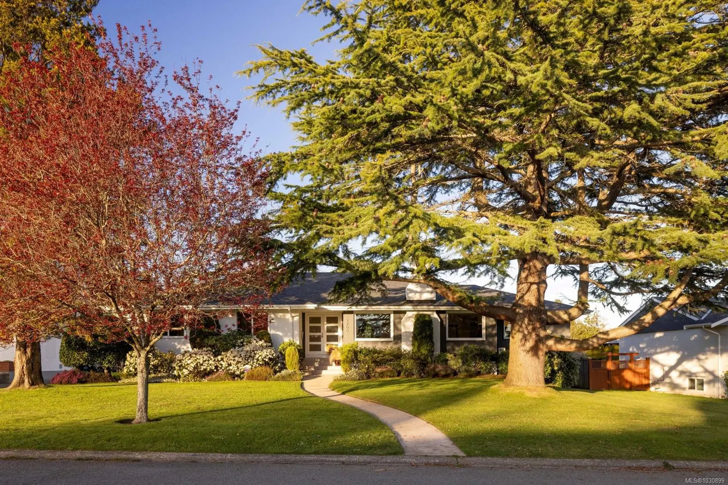 A single-story house with a curved walkway, green lawn, and large trees with red and green leaves.