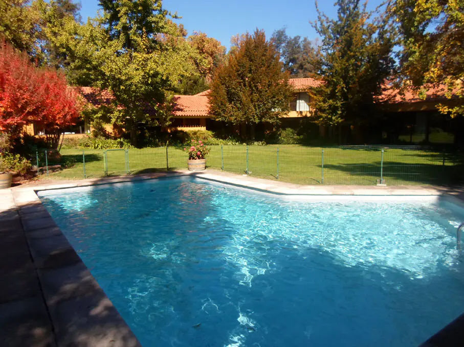 A bright blue swimming pool is surrounded by a green lawn, trees, and a house with a red tile roof.