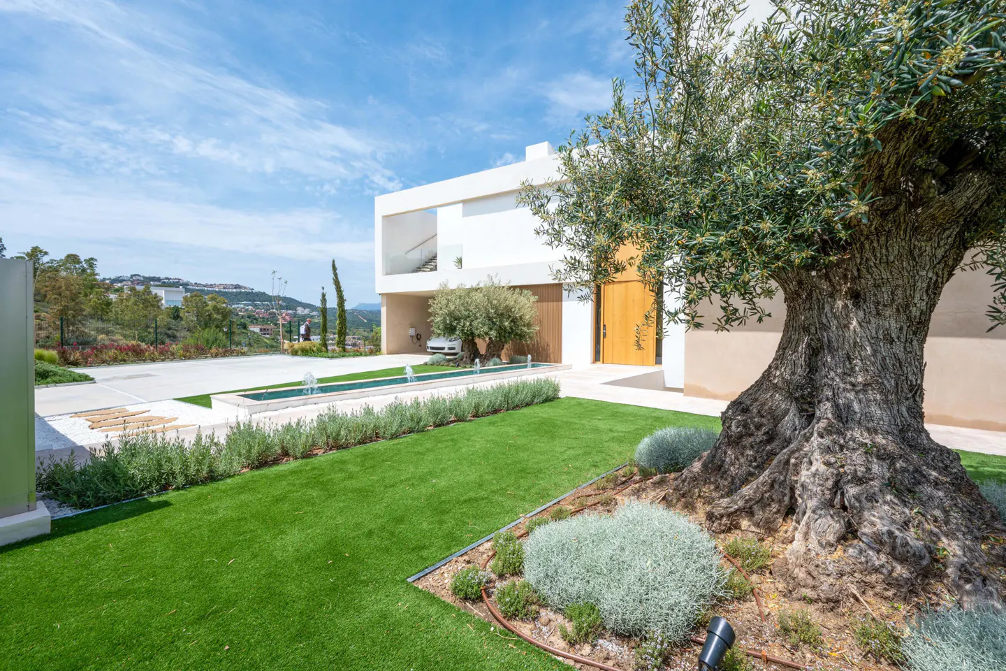 Modern white house with a green lawn, fountain, and large olive tree in the foreground on a sunny day.