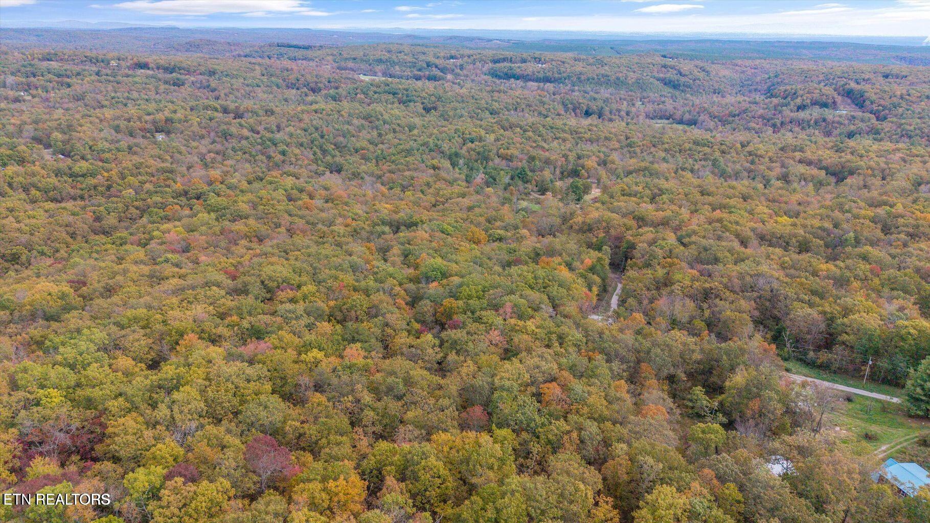 Unrestricted 11 Acres Near Watts Bar Lake