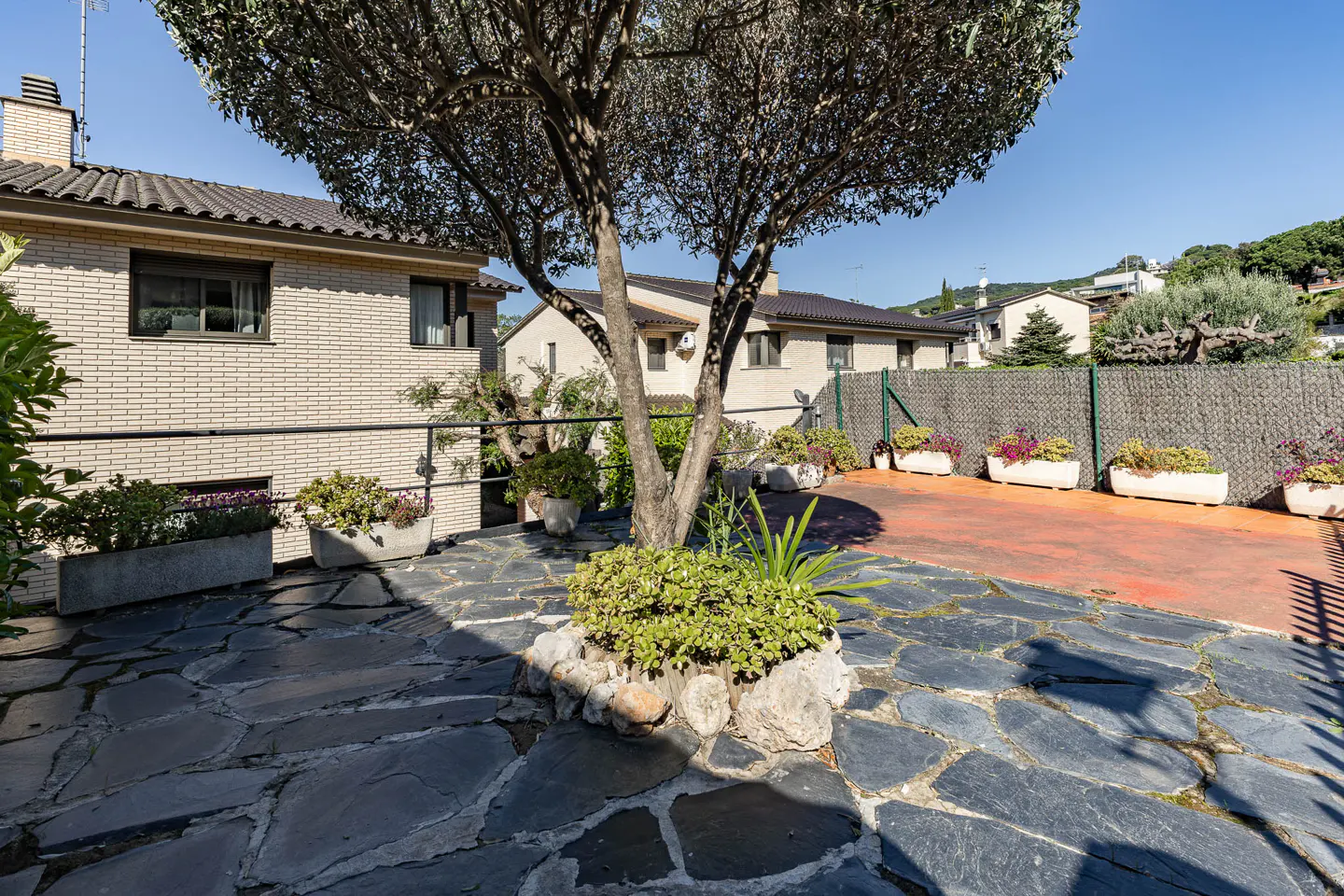 Outdoor patio with stone pavers, a tree in the center, and potted plants. A beige brick house is in the background.