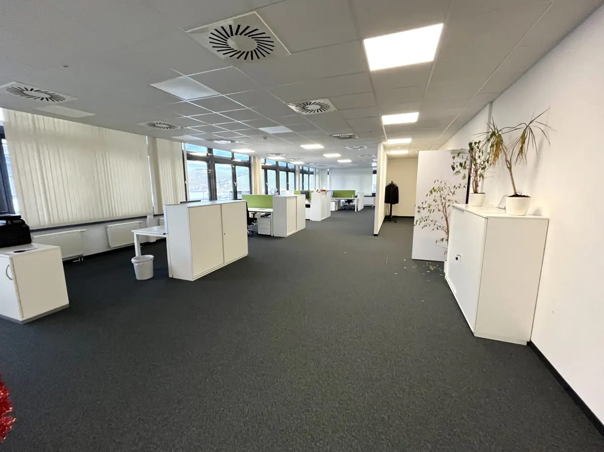 Bright, empty office space with white desks, green partitions, and gray carpet. Windows line the back wall, and plants sit near a white cabinet.