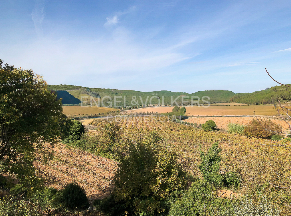 Finca rústica viñedos