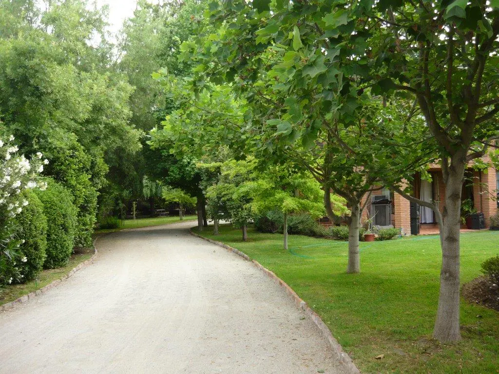 Gravel driveway curves through lush green trees and lawn leading to a brick house in the background.