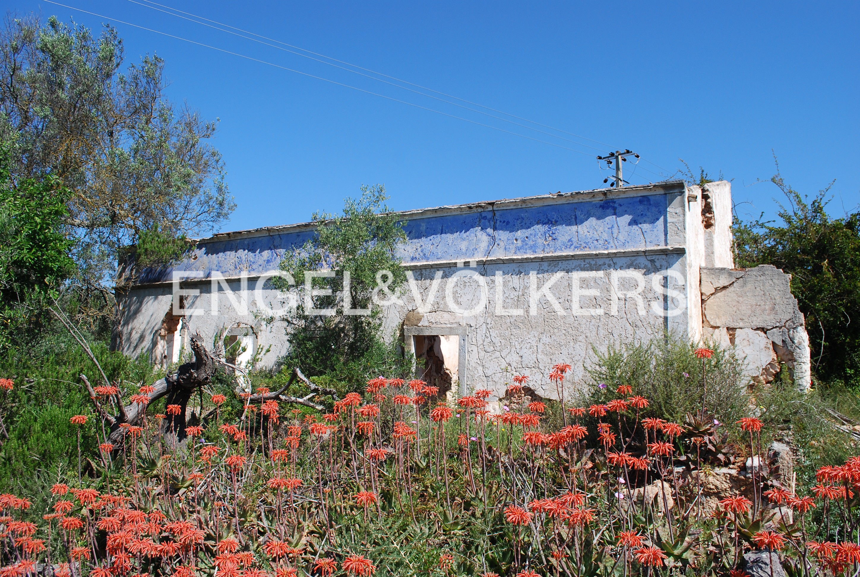 2-hectare Plot with Ruin in Malhada Velha, Loulé