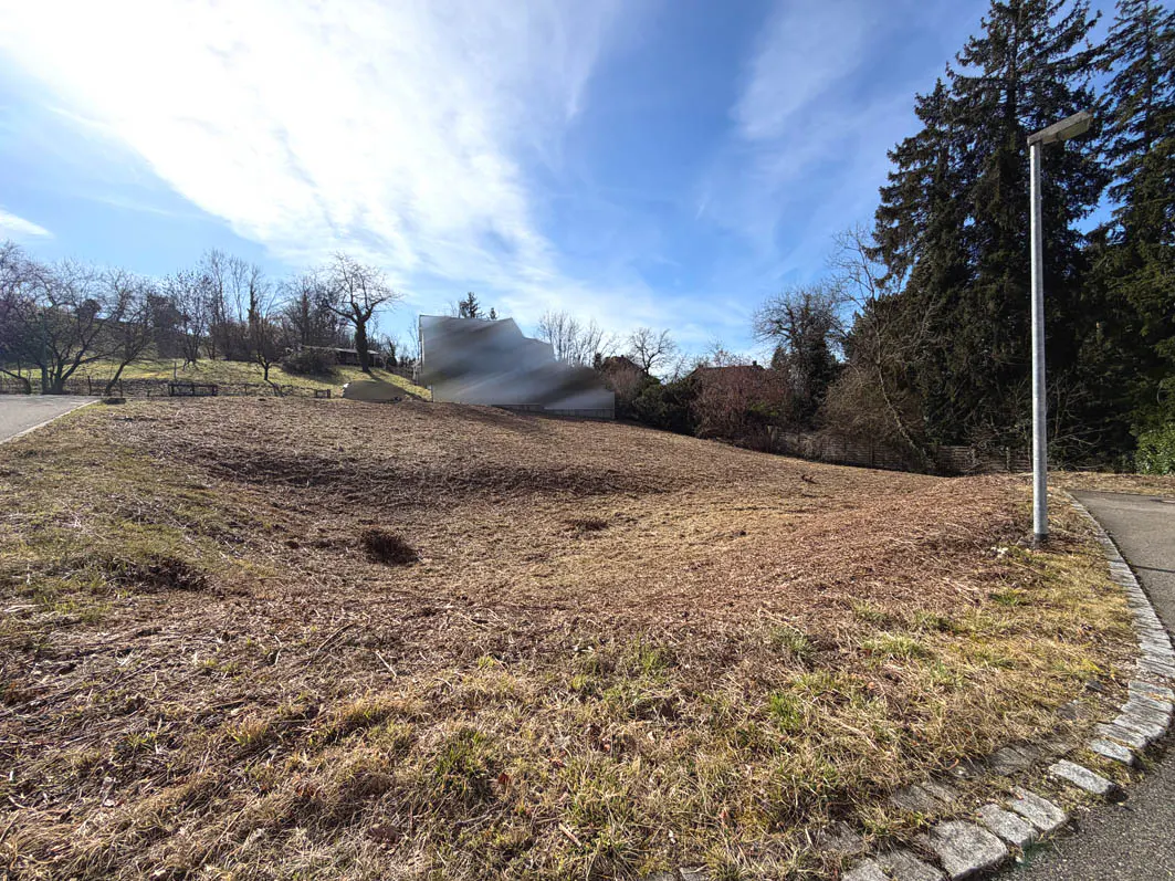 Vacant lot with brown grass under a blue sky. Trees and a blurred house are in the background. A sidewalk runs along the right side.