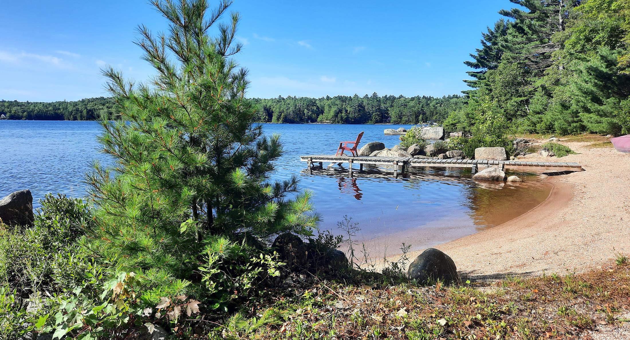Scenic lake view with a wooden dock, red chair, sandy beach, and lush green trees under a clear blue sky.