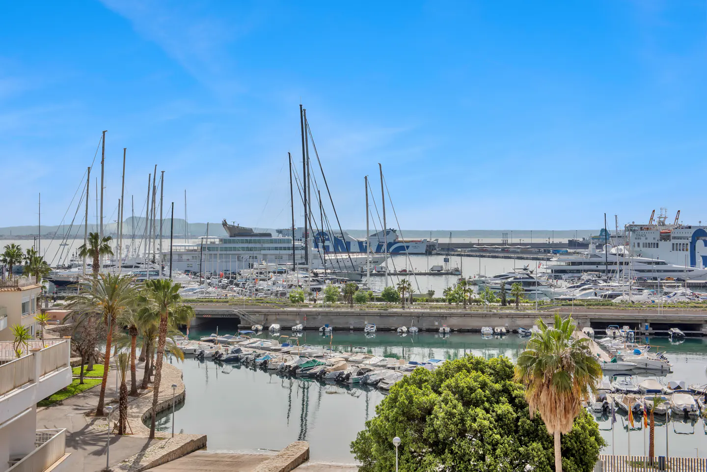 View of a marina filled with yachts and sailboats under a blue sky. Palm trees line the waterfront near a white building. Ferries are docked in the background.