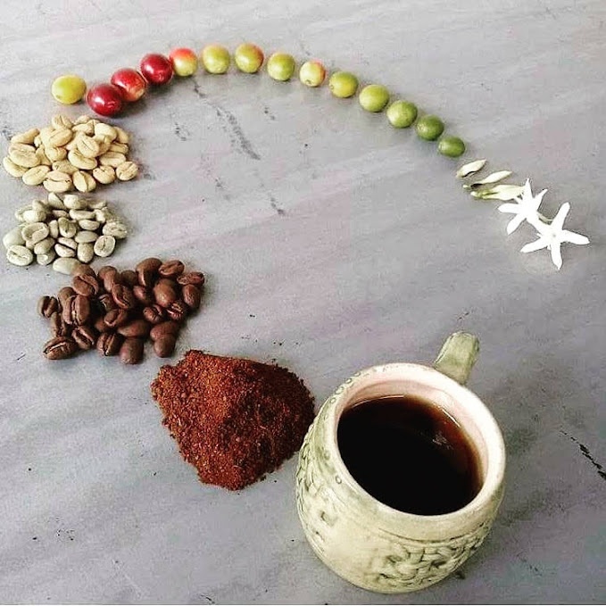 A Regenerative Coffee Estate & Boutique Agricultural Invest.
