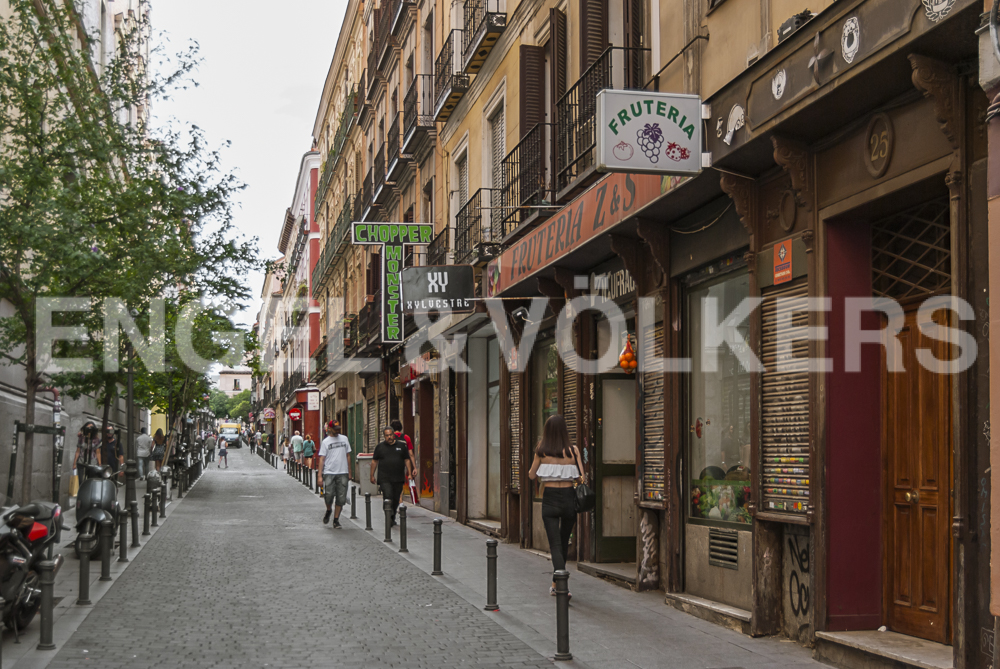 Stunning new designer ground-floor flat with historic wine cellar, glazed patio and olive tree in central Madrid - short stays