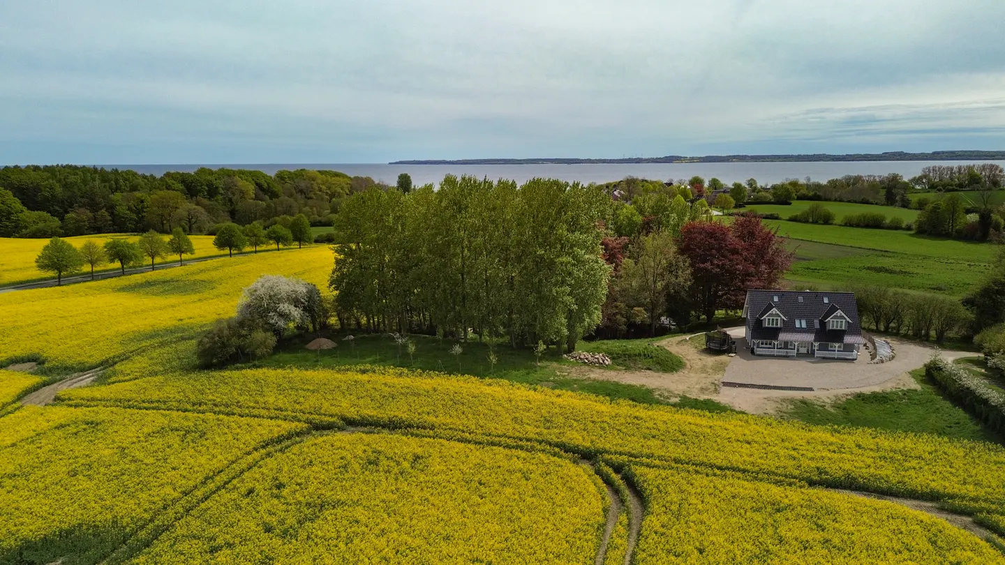 Aerial view of a modern house with a dark roof, surrounded by yellow fields, green trees, and a body of water in the background.