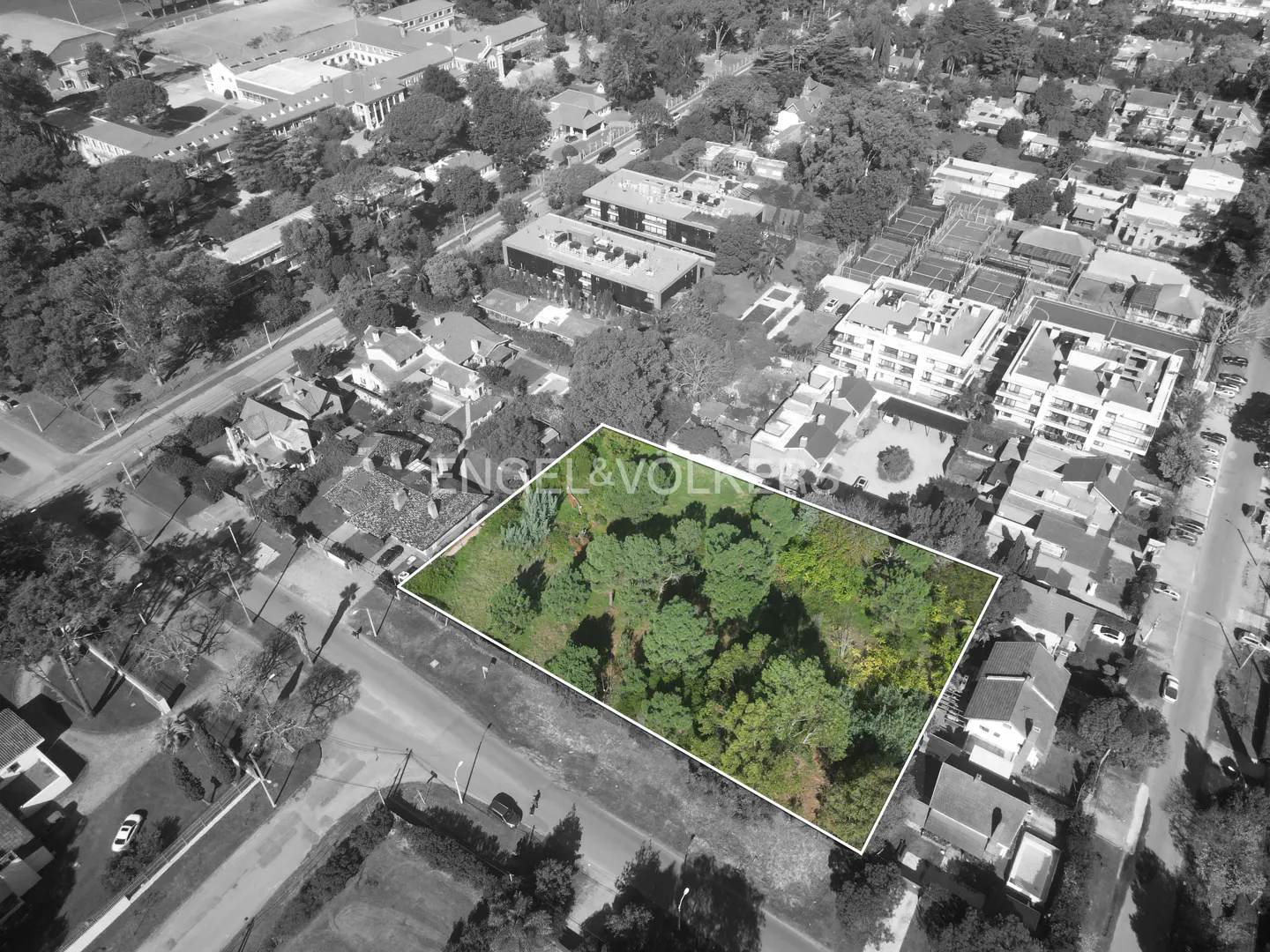 Aerial view of a rectangular lot with green trees, outlined in white, surrounded by a black and white neighborhood.