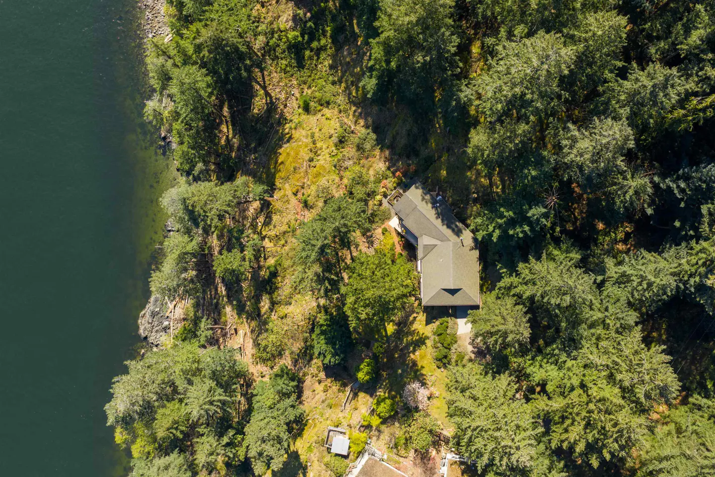 Aerial view of a house with a green roof nestled in a forest next to a body of water.