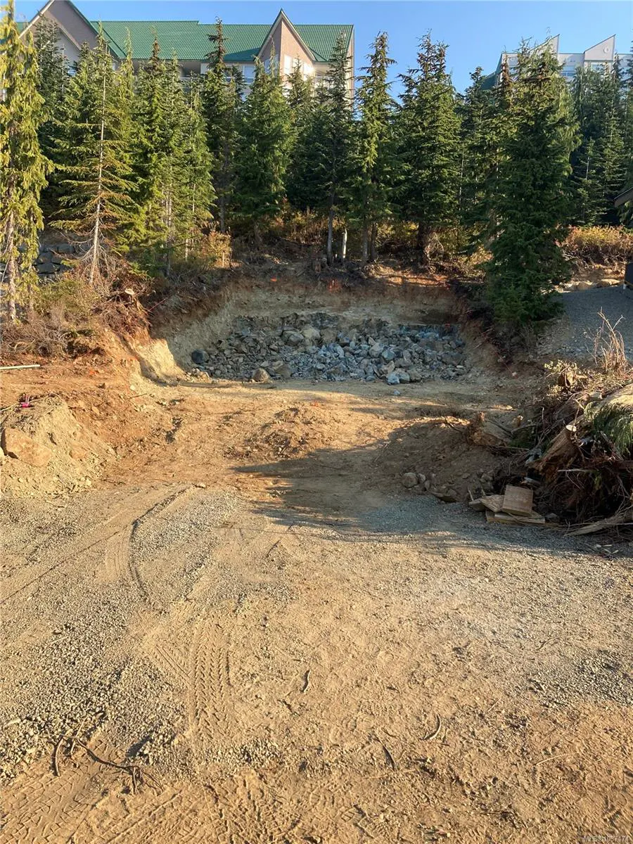 Vacant lot with dirt and tire tracks, a rock-filled pit, and evergreen trees. A building is visible in the background.