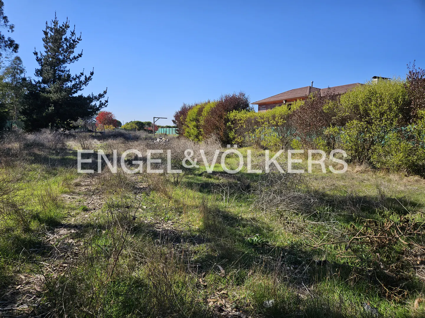 Vacant lot with green grass and dry brush under a blue sky. Trees and a house are in the background. Engel & Völkers logo is superimposed.