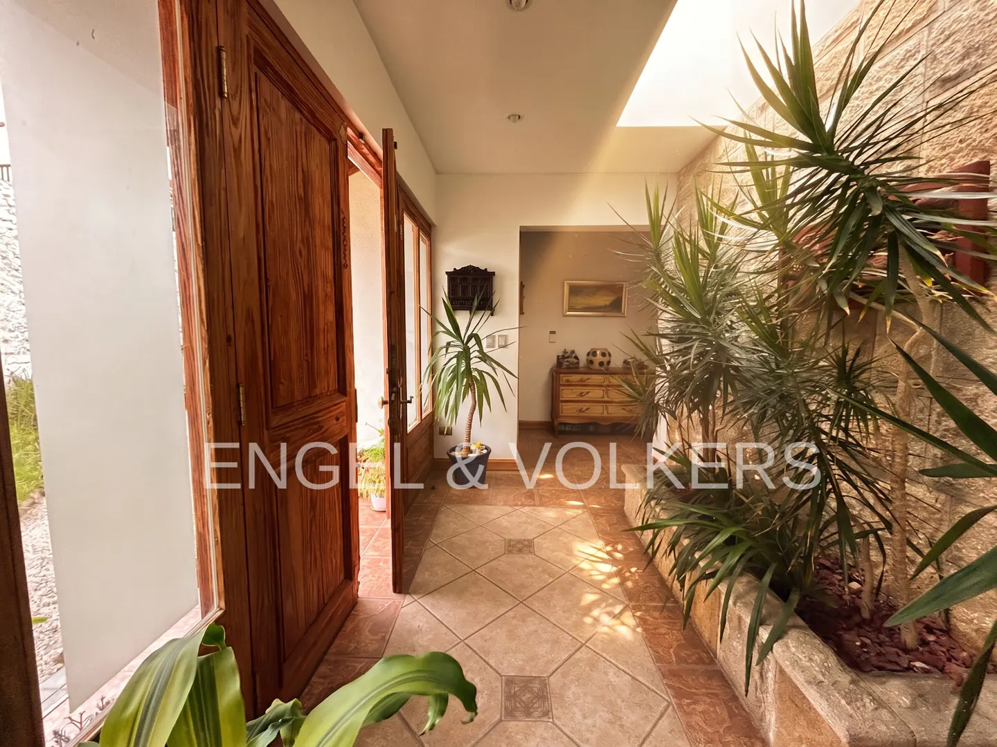 Bright indoor hallway with tiled floors, wooden doors, and large potted plants against a textured stone wall.
